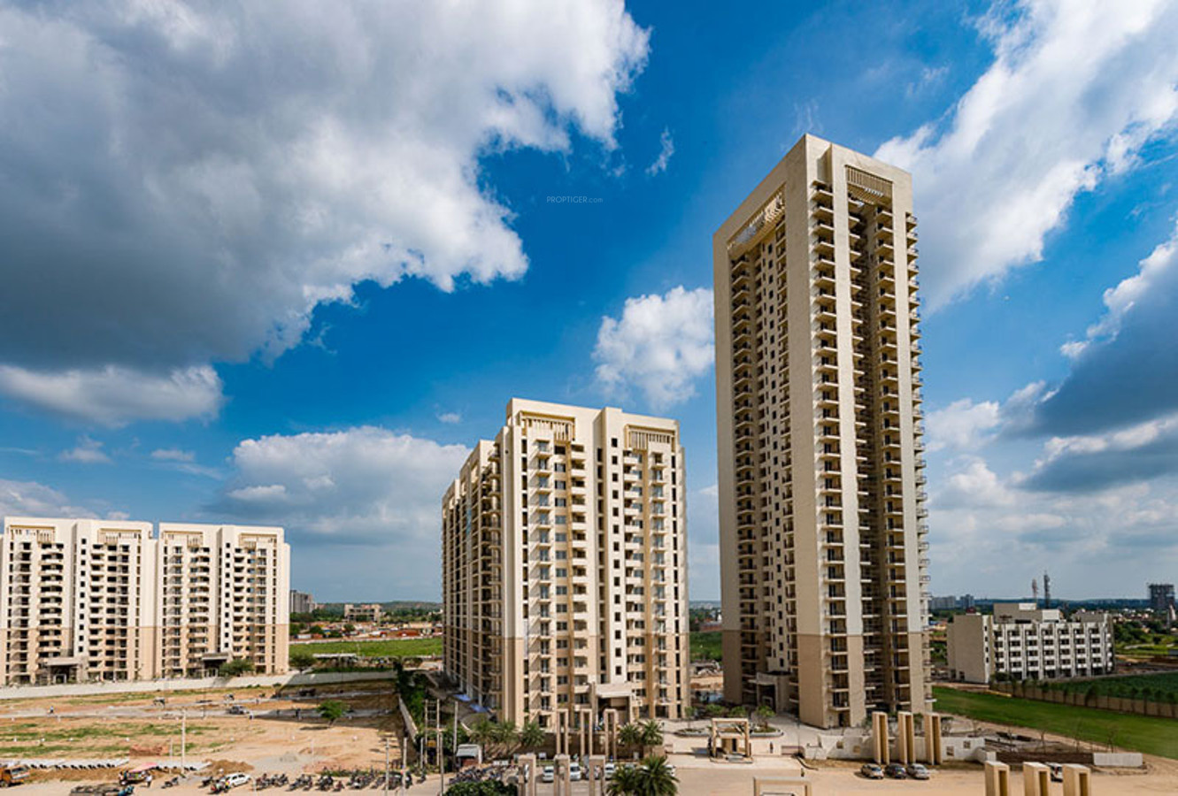 Apartment DLF The Primus Rent Sector 82 Gurgaon